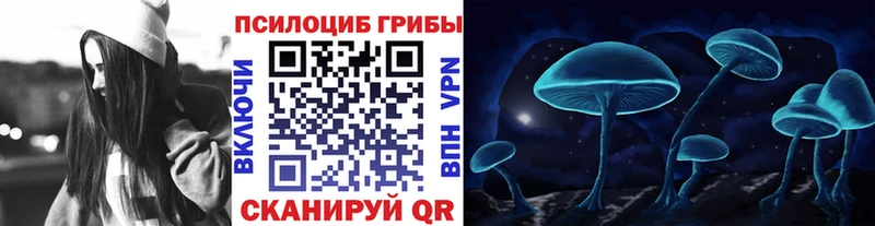 darknet какой сайт Сорочинск Галлюциногенные грибы Psilocybine cubensis
